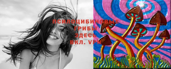 МДПВ Нягань