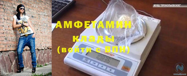 шишки Абинск